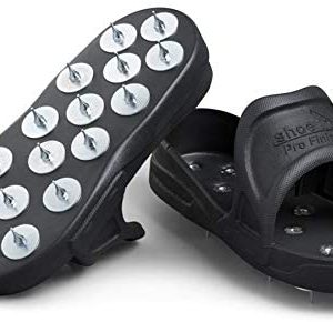 Shoe-In Spiked Shoes